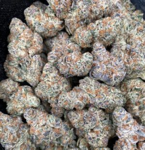 Kush Mintz Kush Mintz