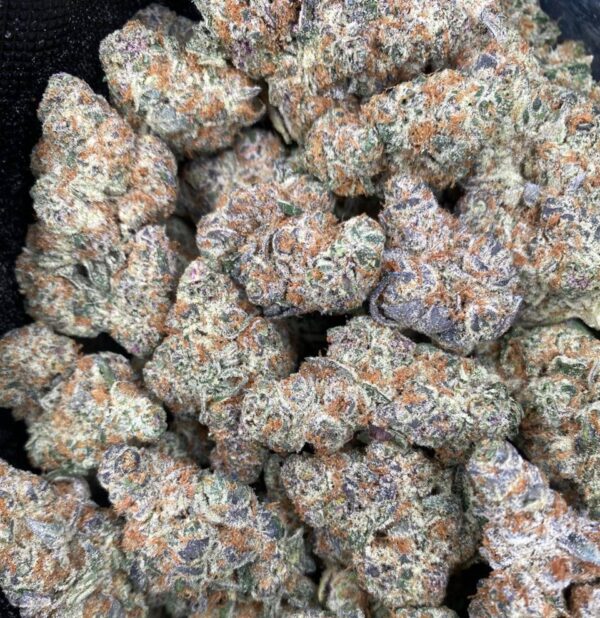 Kush Mintz Kush Mintz