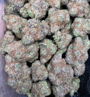 peanut butter pie strain peanut butter pie strain