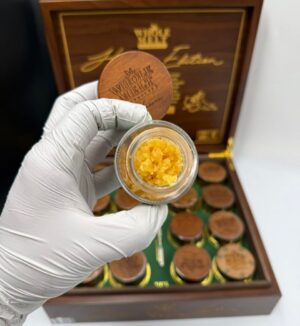 whole melt disposable