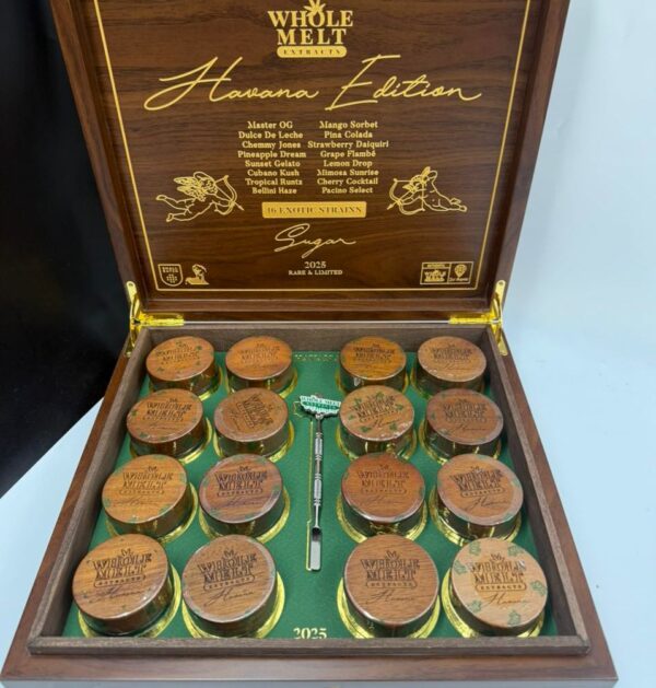 whole melt disposable whole melt disposable