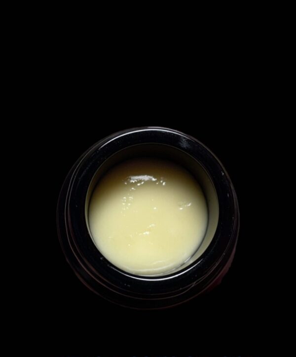 Professor Sift X The Firm